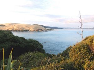 Hokianga Heads looking north up the harbour