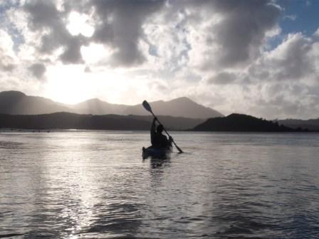 Kayaking on the Hokianga