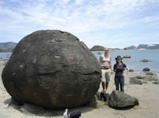Koutu boulder concretions on Hokianga Harbour at Koutu Point